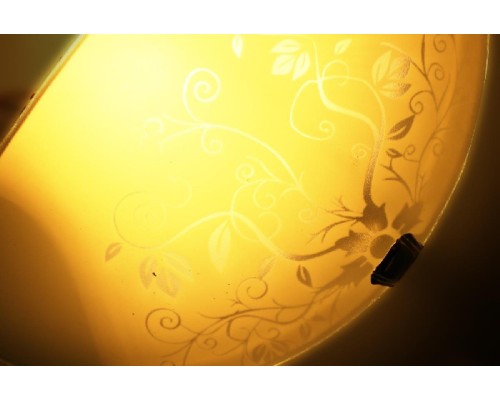 Настенный светильник Oregon 673/K1 Lampex