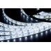 Светодиодная лента  LC-3528-W-12W60 Ledcraft