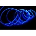 Светодиодная лента  LC-5050-12BL30 Ledcraft