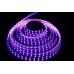 Светодиодная лента  LC-5050-12RGB60 Ledcraft