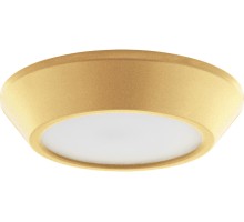 Потолочный светильник Urbano mini 214734 Lightstar