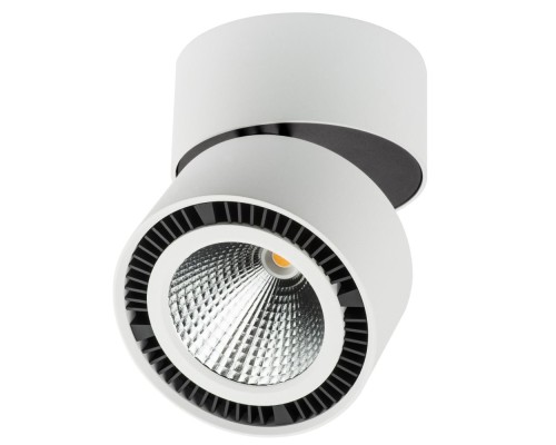 Спот Forte Muro 214830 Lightstar