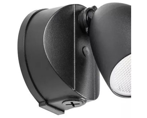 Настенный светильник уличный Diva 374147 Lightstar