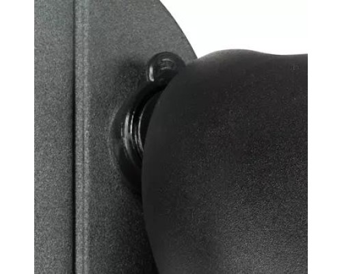 Настенный светильник уличный Diva 374237 Lightstar