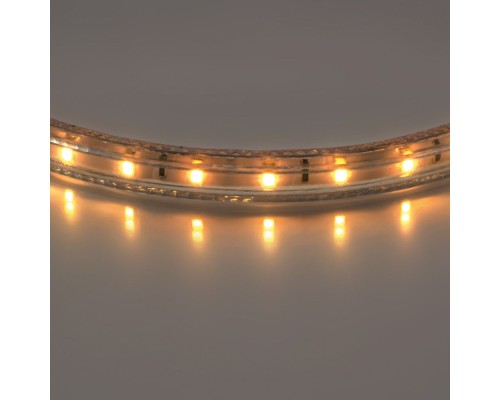 Светодиодная лента 402002 Lightstar