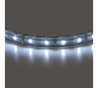 Светодиодная лента 402004 Lightstar
