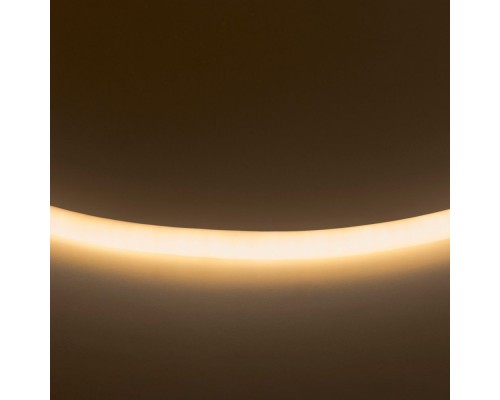 Светодиодная лента 0 430202 Lightstar