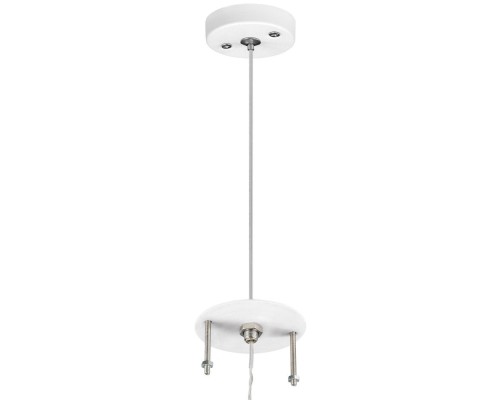 Потолочная чаша с проводом Rullo 590086 Lightstar