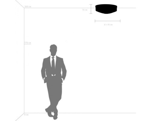 Потолочная люстра Siena 720222 Lightstar