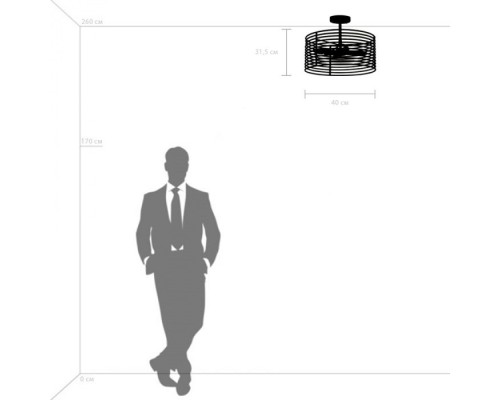 Потолочная люстра Zeta 728043 Lightstar
