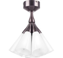 Потолочная люстра  757070 Lightstar