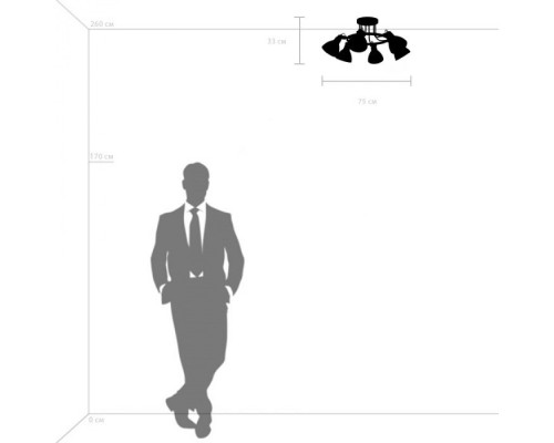 Потолочная люстра Acrobata 761060 Lightstar