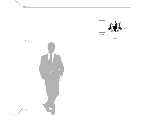 Настенный светильник MANICA 794634 Lightstar