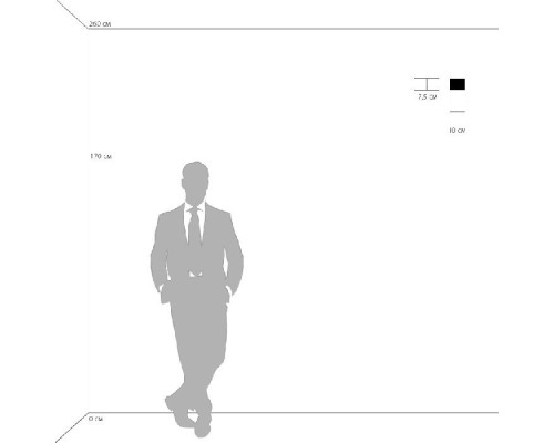 Настенный светильник Pezzo 801610 Lightstar