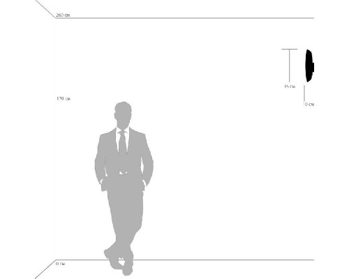 Настенный светильник Dissimo 803600 Lightstar