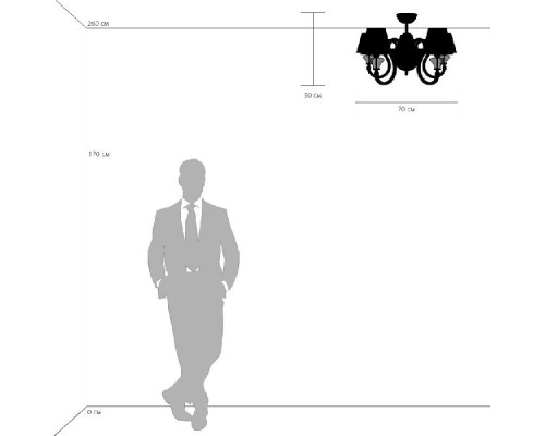 Потолочная люстра Otto 809056 Lightstar