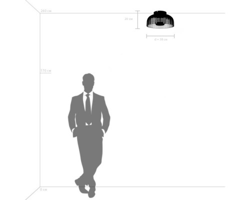 Потолочный светильник  809061 Lightstar