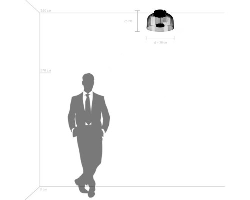 Потолочный светильник  809062 Lightstar