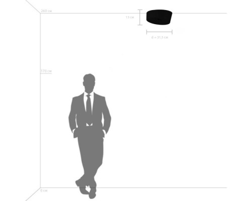 Потолочный светильник  809356 Lightstar