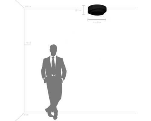 Потолочный светильник  809416 Lightstar