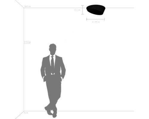 Потолочный светильник  809456 Lightstar