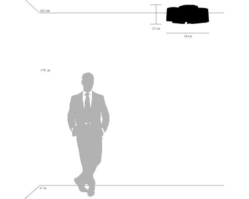 Потолочный светильник Pittore 811050 Lightstar