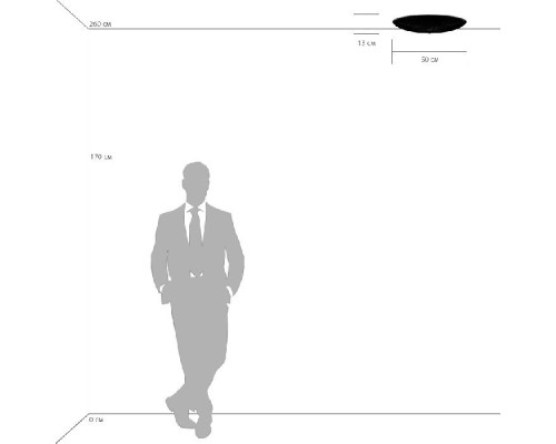 Потолочный светильник ZUCCHE 820840 Lightstar