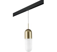 Трековый светильник Ramo PRO690113 Lightstar