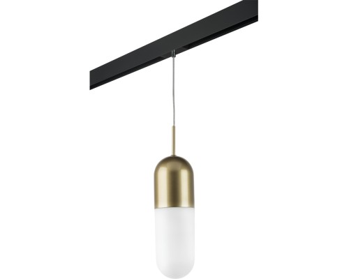 Трековый светильник Ramo PRO690113 Lightstar