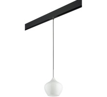 Трековый светильник Pentola PRO803040 Lightstar