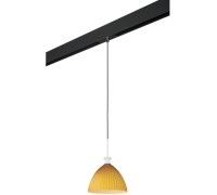 Трековый светильник Agola PRO810023 Lightstar