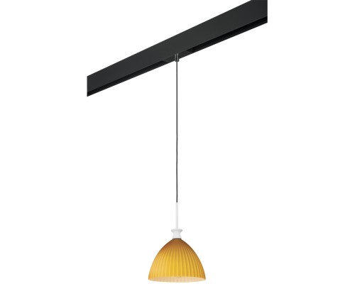 Трековый светильник Agola PRO810023 Lightstar