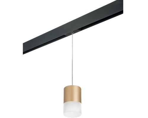 Трековый светильник Rullo PRORP349081 Lightstar