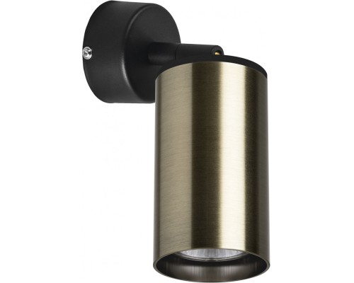 Спот Rullo RB431 Lightstar