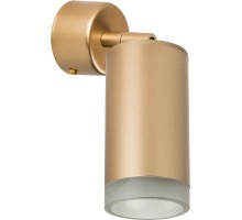 Спот Rullo RB4401030 Lightstar