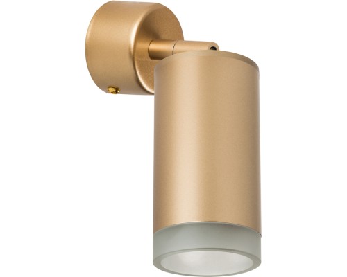 Спот Rullo RB4401030 Lightstar