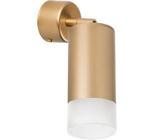 Спот Rullo RB4401031 Lightstar