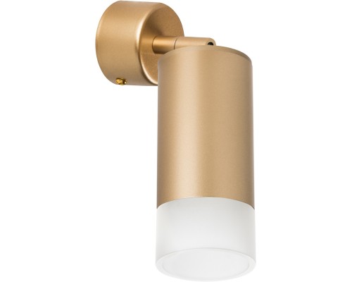 Спот Rullo RB4401031 Lightstar
