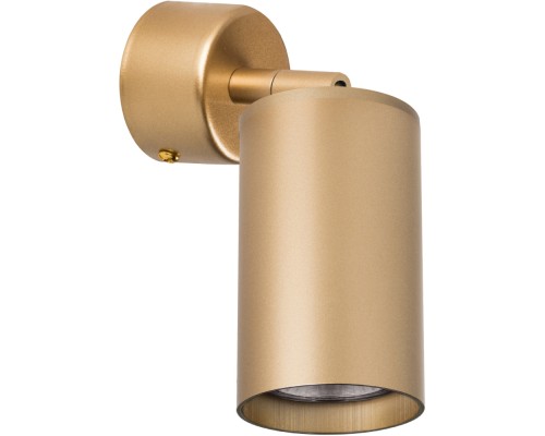 Спот Rullo RB4401 Lightstar