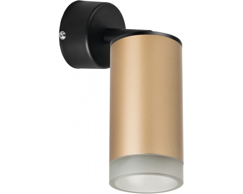 Спот Rullo RB44030 Lightstar