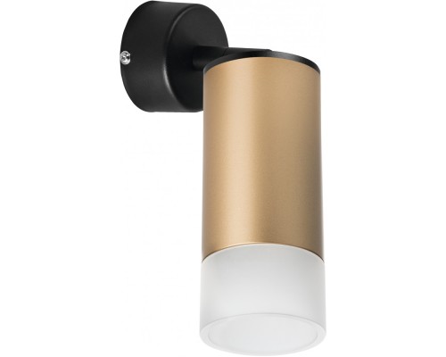 Спот Rullo RB44031 Lightstar