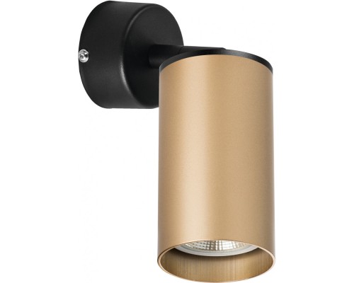 Спот Rullo RB440 Lightstar