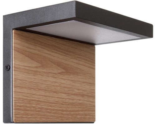 Настенный светильник уличный Oak 100001W Loft It