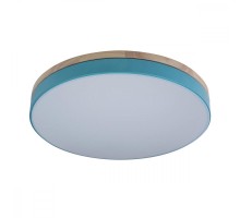 Потолочный светильник Axel 10001/36 Blue Loft It