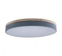 Потолочный светильник Axel 10001/36 Grey Loft It