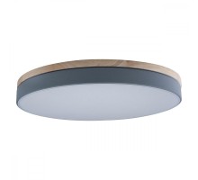 Потолочный светильник Axel 10001/36 Grey Loft It