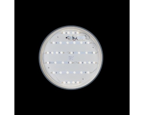 Потолочный светильник Axel 10001/36 Grey Loft It