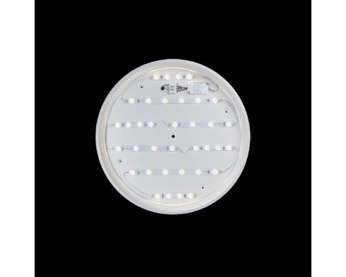 Потолочный светильник Axel 10001/36 White Loft It