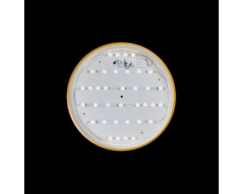 Потолочный светильник Axel 10001/36 Yellow Loft It