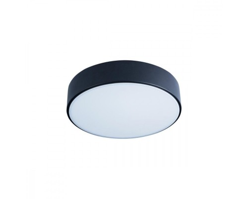 Потолочный светильник Axel 10002/12 Black Loft It